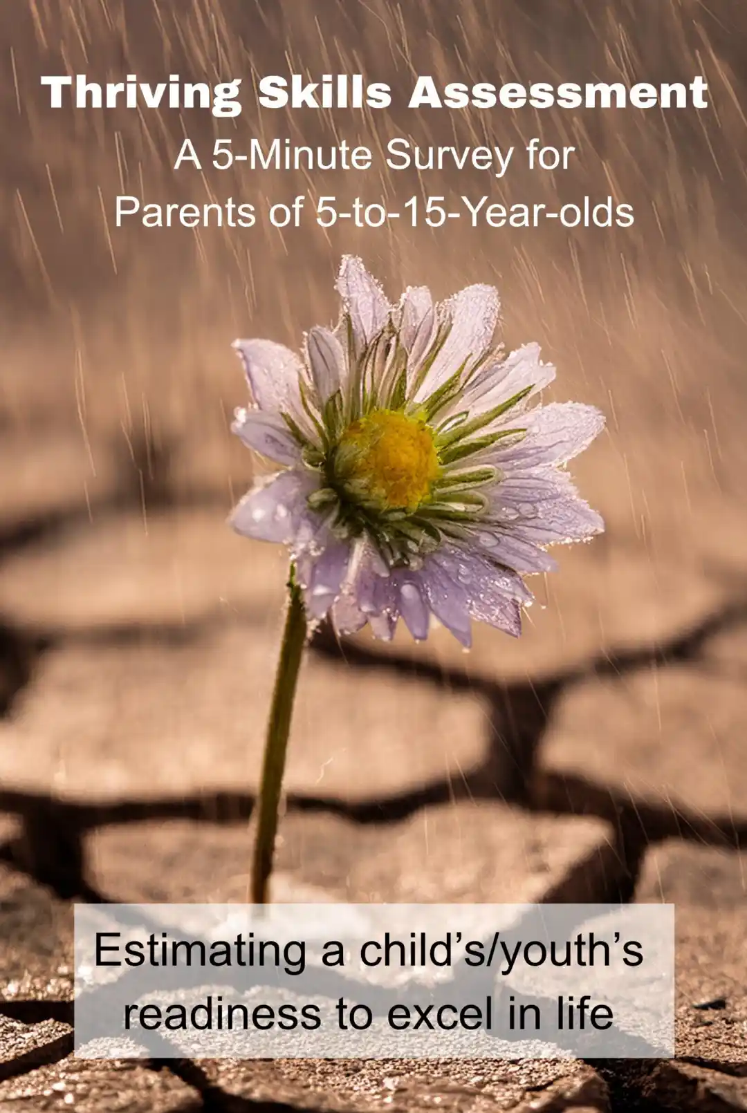 Thriving Skills Assessment, a 5 minute survey for parents of 5-16 year olds.
